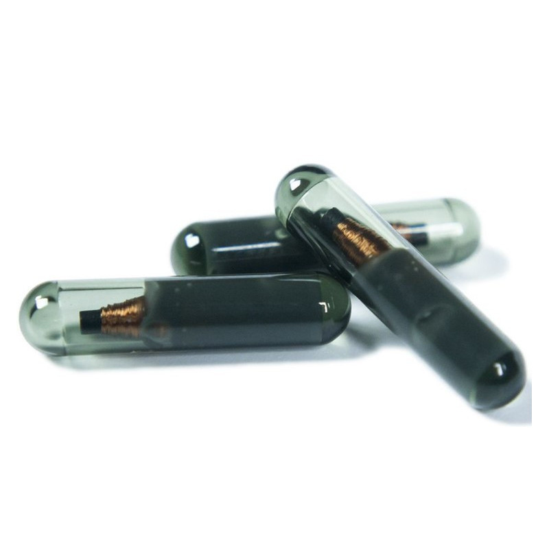 GKM - Transpondeur Keyline pour Megamos® Crypto (ID48) et Megamos® code fixe