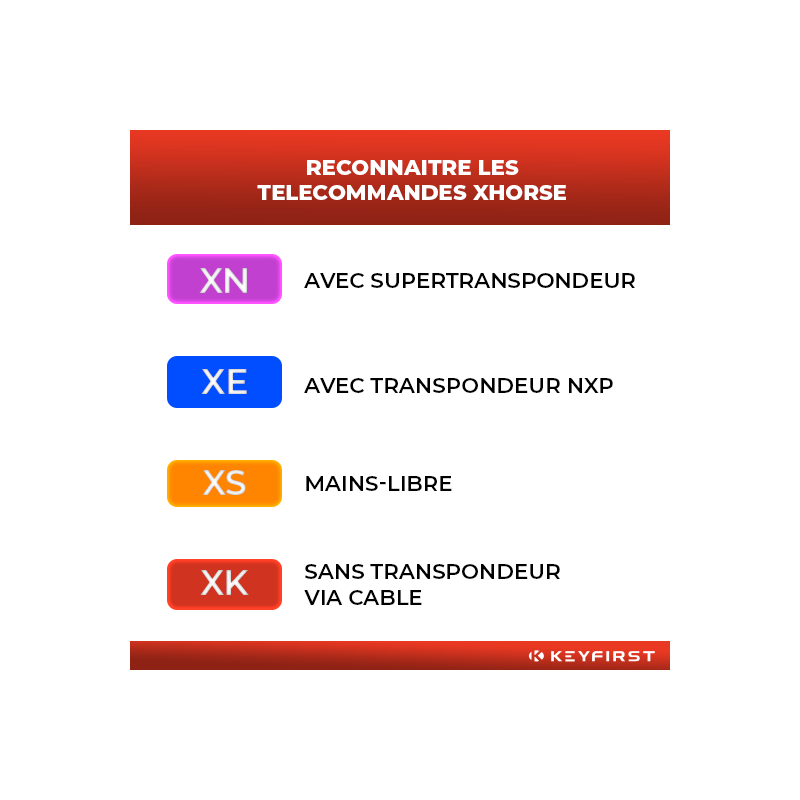 XHS-13 Télécommande universelle XHORSE VVDI| Compatible BMW-Motocycles|2 BOUTONS|XSBM90GL