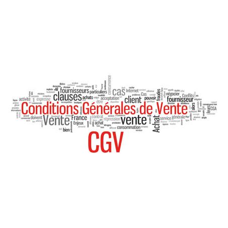 CONDITIONS GÉNÉRALES DE PRESTATIONS DE SERVICES – FORMATIONS CONDITIONS GÉNÉRALES DE PRESTATIONS DE SERVICES – FORMATIONS