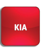 Recycle bin Einhaken-Dekodieren Kia