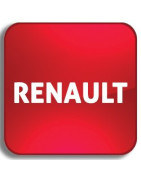 Recycle bin Einhaken-Dekodieren Renault