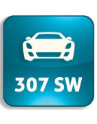 Car keys Peugeot 307 SW