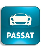 Car keys Volkswagen Passat