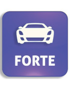 Autoschlüssel Kia Forte