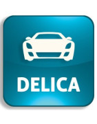 Clé Mitsubishi Delica – Télécommande, Smart Key, Livraison 24h