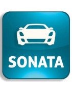 Autoschlüssel Hyundai Sonata