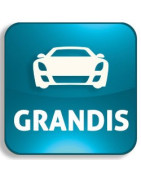 Autoschlüssel Mitsubishi Grandis
