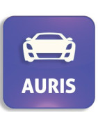 Autoschlüssel Toyota Auris