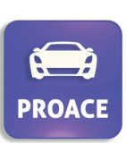 Autoschlüssel Toyota Proace