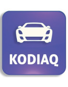 Autoschlüssel Skoda Kodiaq