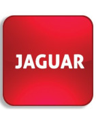 Recycle bin Einhaken-Dekodieren Jaguar