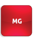 Recycle bin Einhaken-Dekodieren MG