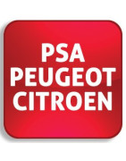 Papelera de reciclaje Crochetage - Decodificar PSA Peugeot-Citroen