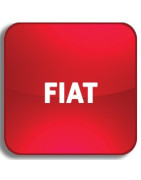 Borrador de FIAT