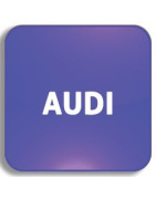 Recycle bin Pod Keys AUDI