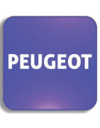 Recycle bin Pod Keys PEUGEOT